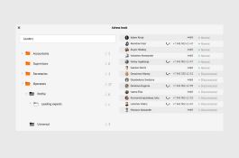 Redesign of Naumen SoftPhone  interface